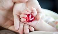 Babies born after fertility treatment have higher risk of heart defects, study suggests